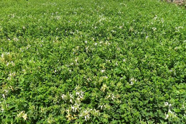 2018農村有哪些創業商機