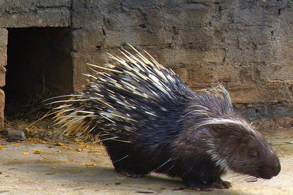 2018農村有哪些創業商機