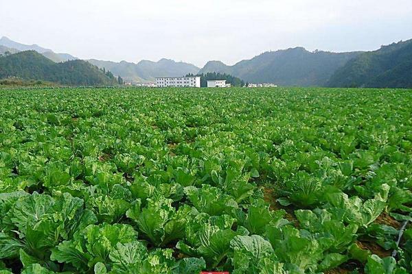 2018農村有哪些創業商機