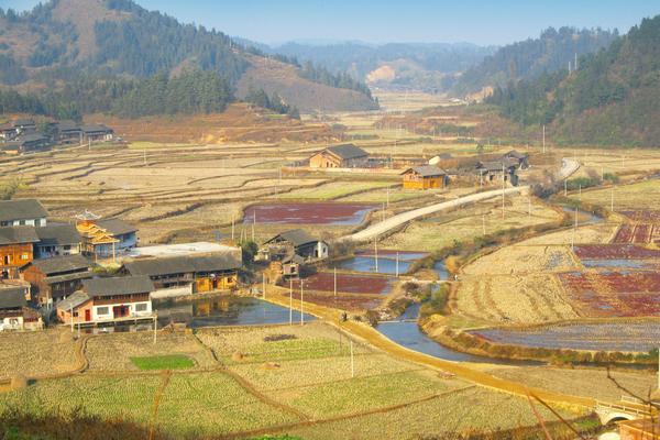 2018小規(guī)模養(yǎng)殖什么好