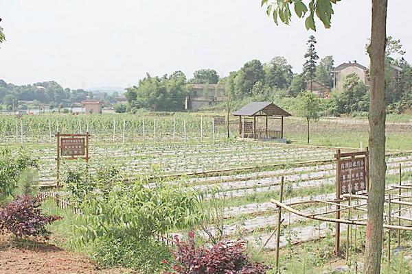 2018農村有哪些創業商機