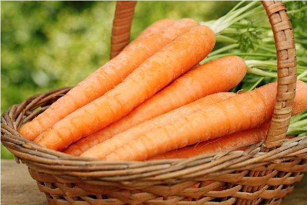 胡蘿卜不能和什么一起吃 胡蘿卜相克的食物有哪些