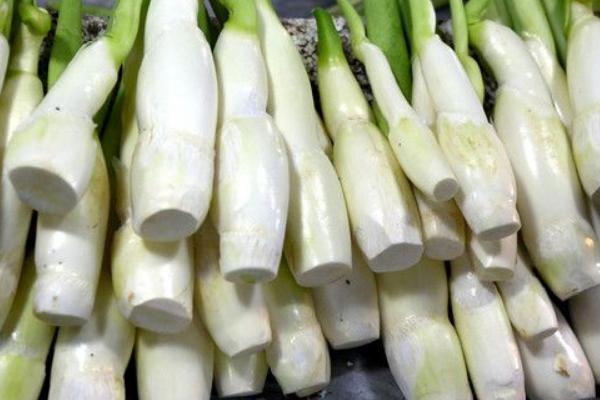 如何挑選茭白