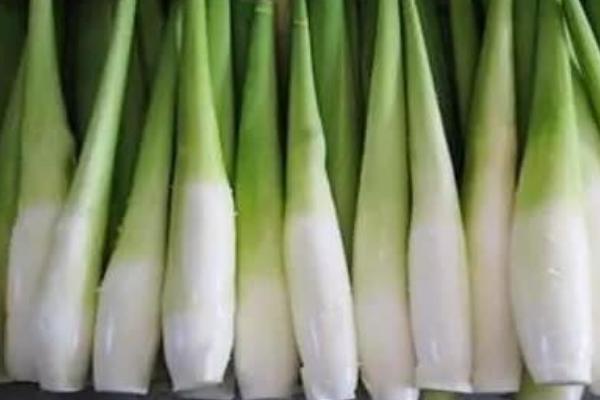 如何挑選茭白