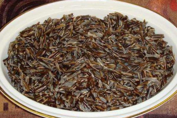 茭白無土栽培技術