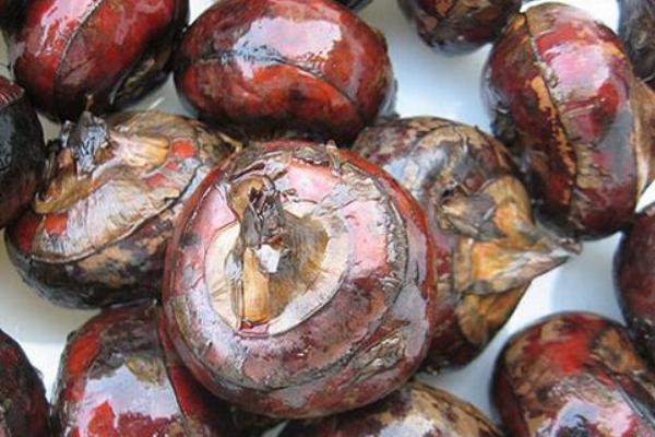 荸薺什么時(shí)候上市