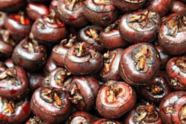 荸薺什么時(shí)候上市