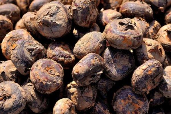 荸薺什么時(shí)候上市