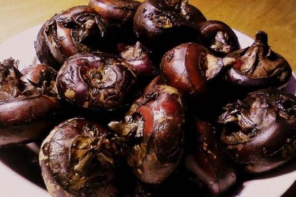 荸薺什么時(shí)候上市