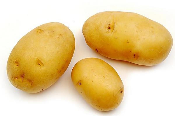 馬鈴薯汁的功效與作用及禁忌