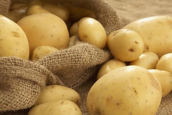 馬鈴薯是紅薯還是土豆