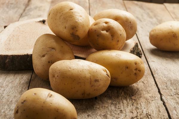 馬鈴薯深加工項目有哪些