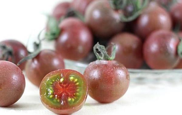 黑番茄價格多少錢一斤