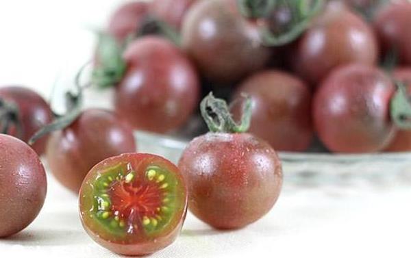 黑番茄和紅番茄的區別是什么