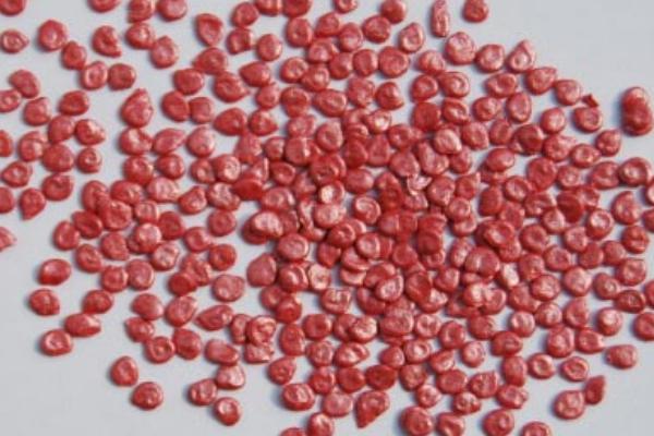 番茄種子市場(chǎng)價(jià)格多少錢一斤