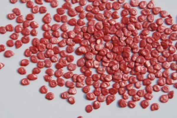 番茄樹(shù)種子價(jià)格多少錢(qián)一斤 番茄樹(shù)種子哪里有賣(mài)