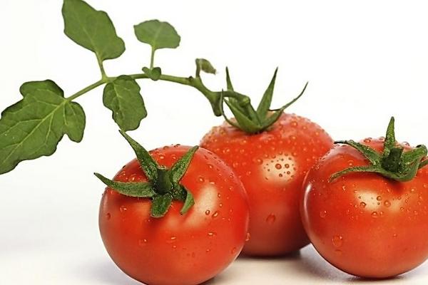 番茄就是西紅柿嗎 番茄和西紅柿的區(qū)別是什么