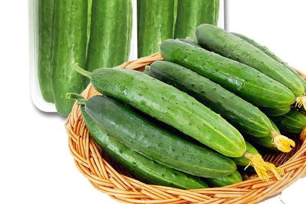 地黃瓜和黃瓜的區別是什么