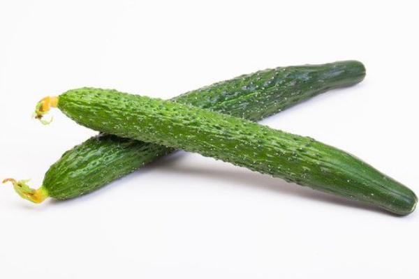 地黃瓜和黃瓜的區別是什么