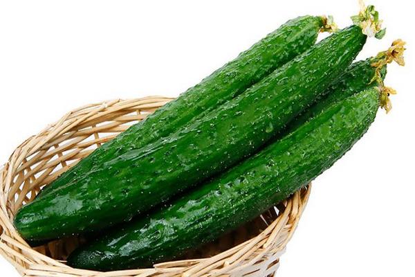 地黃瓜和黃瓜的區別是什么