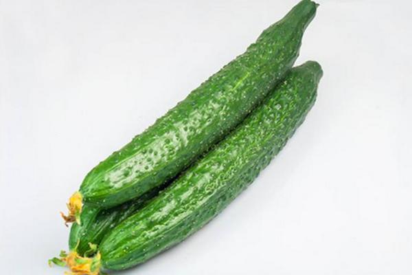 地黃瓜和黃瓜的區別是什么