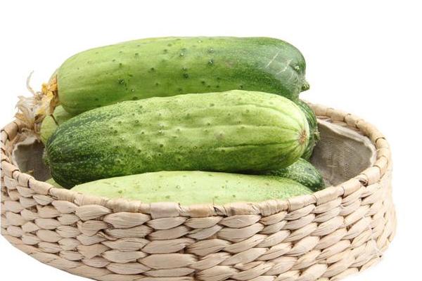 旱黃瓜圖片大全