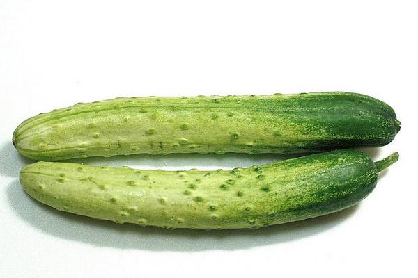 旱黃瓜圖片大全