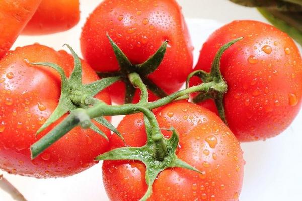 晚上吃番茄炒蛋會胖嗎