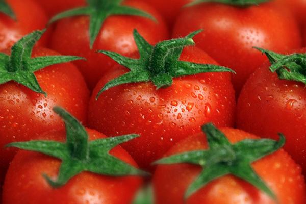 晚上吃番茄炒蛋會胖嗎