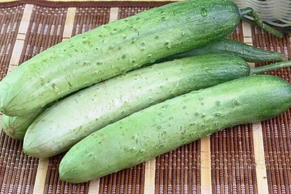 地黃瓜的做法大全