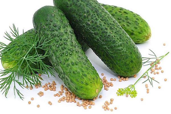 黃瓜市場(chǎng)價(jià)格多少錢(qián)一斤