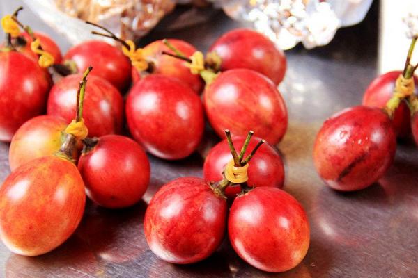 樹番茄的功效與作用及禁忌