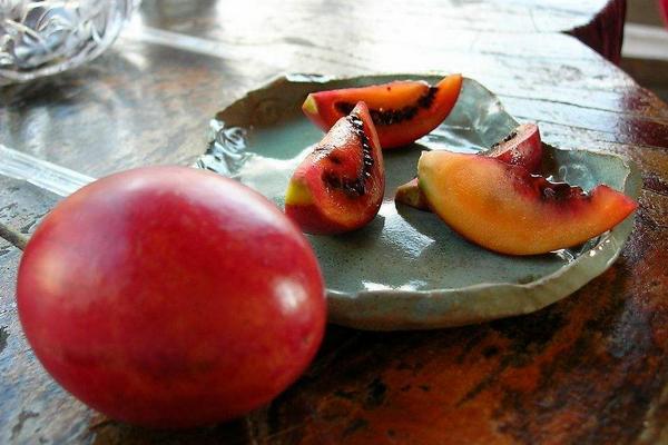 樹(shù)番茄市場(chǎng)價(jià)格多少錢(qián)一斤