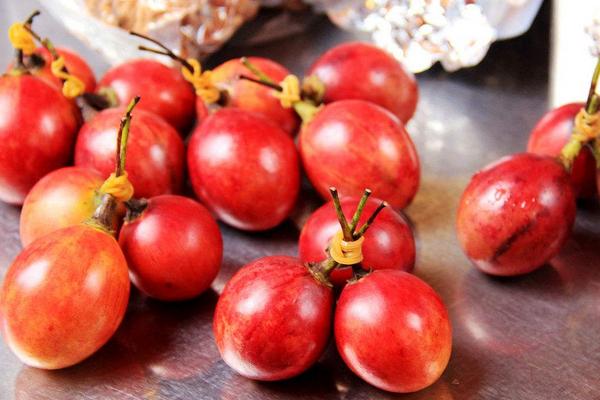 樹(shù)番茄市場(chǎng)價(jià)格多少錢(qián)一斤