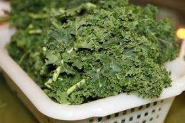 菘藍色是什么樣子（顏色） 菘藍葉能染發嗎