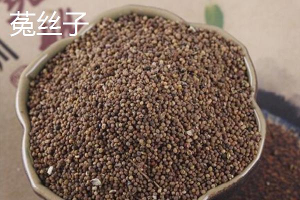 鹽菟絲子和菟絲子的區別是什么 菟絲草與菟絲子的區別是什么