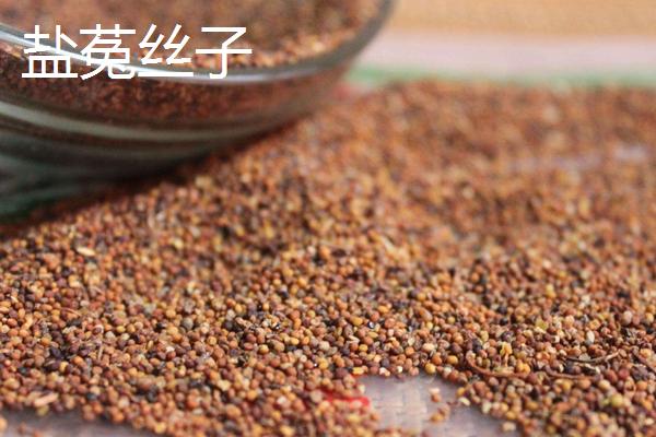 鹽菟絲子和菟絲子的區別是什么 菟絲草與菟絲子的區別是什么