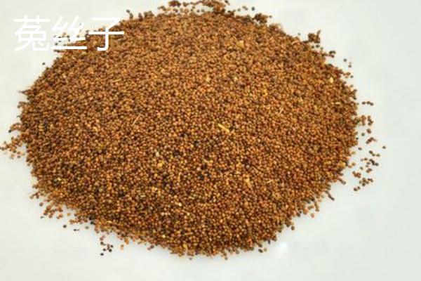 鹽菟絲子和菟絲子的區別是什么 菟絲草與菟絲子的區別是什么