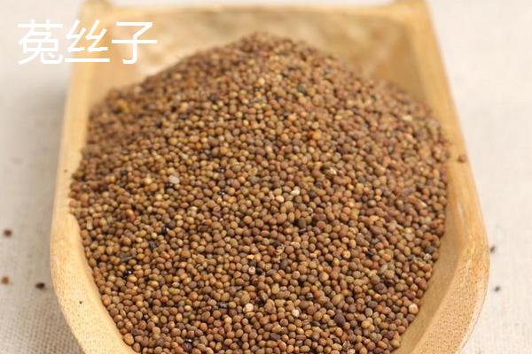 鹽菟絲子和菟絲子的區別是什么 菟絲草與菟絲子的區別是什么