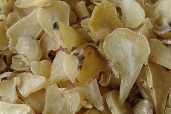 獨角蓮市場價格多少錢一斤 獨角蓮產地在哪里