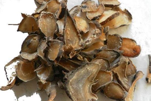 獨角蓮市場價格多少錢一斤 獨角蓮產地在哪里