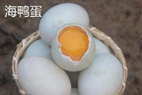 海鴨蛋和咸鴨蛋的區別是什么 海鴨蛋是不是自然咸