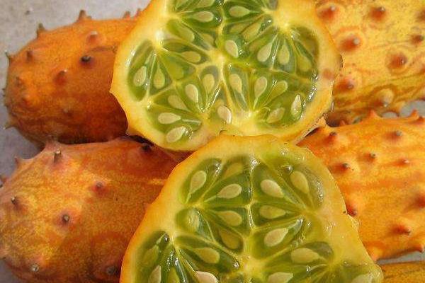 火參果市場價格多少錢一斤(一斤有幾個) 火參果產地在哪里