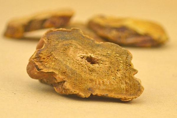 中藥大黃市場價格多少錢一斤 大黃產地在哪里