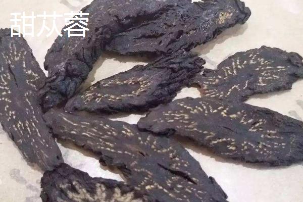 酒蓯蓉能取代肉蓯蓉嗎 甜蓯蓉和肉蓯蓉的區別是什么