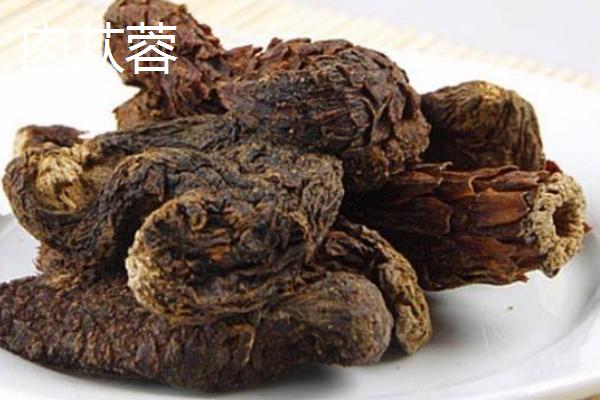 酒蓯蓉能取代肉蓯蓉嗎 甜蓯蓉和肉蓯蓉的區別是什么