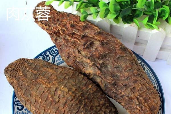 酒蓯蓉能取代肉蓯蓉嗎 甜蓯蓉和肉蓯蓉的區別是什么