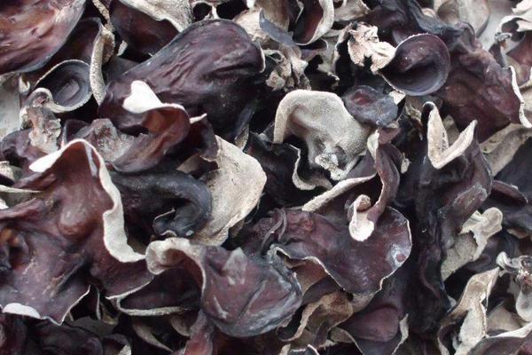 白背木耳市場價格多少錢一斤 白背木耳產地在哪里