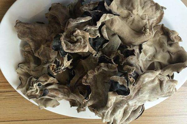 白背木耳市場價格多少錢一斤 白背木耳產地在哪里