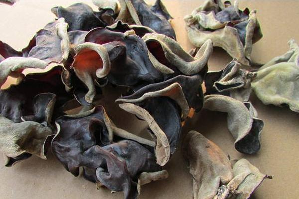 白背木耳市場價格多少錢一斤 白背木耳產地在哪里